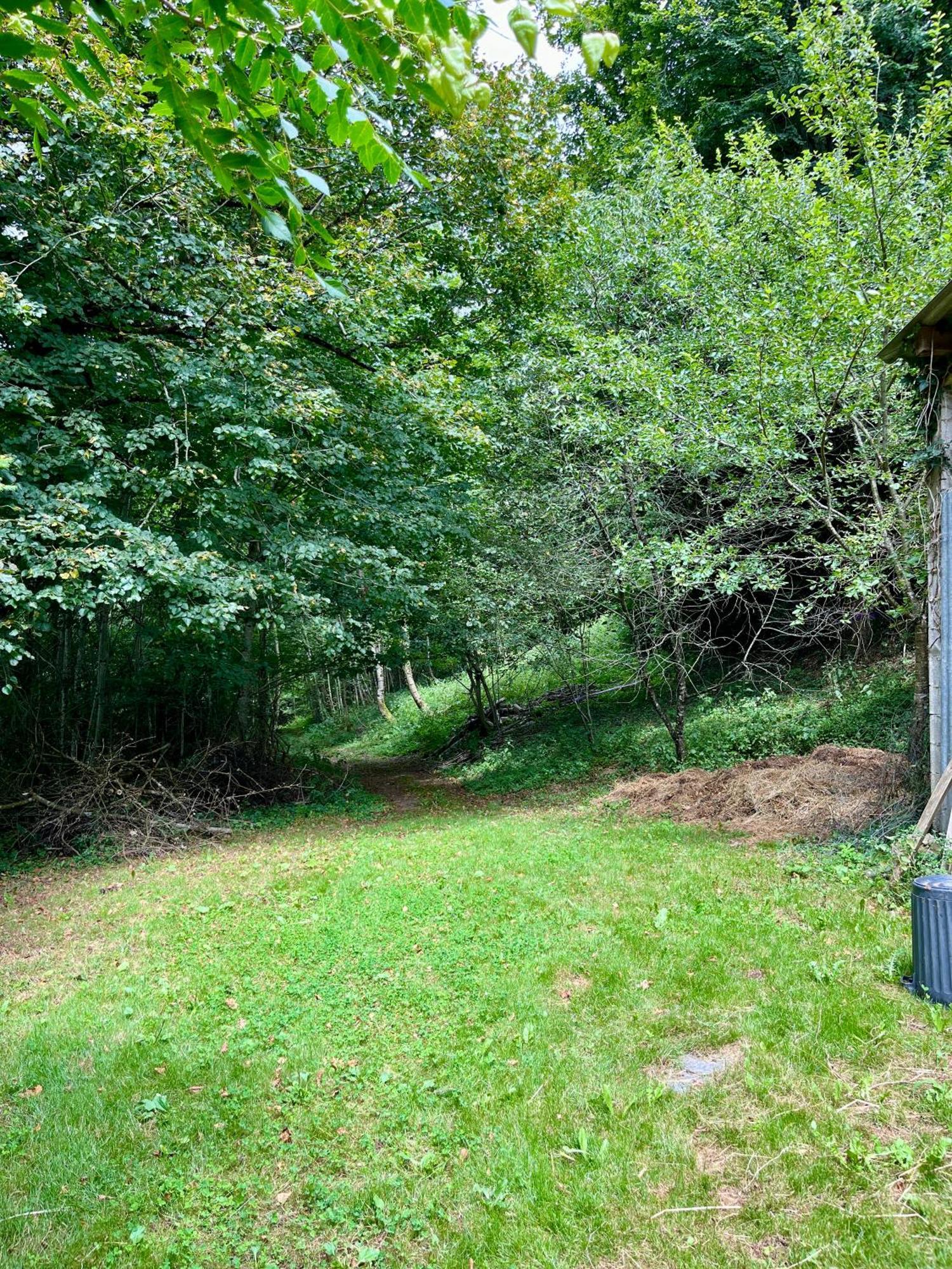 Parenthese En Foret - Lodge Baliveau Le Bez  Ngoại thất bức ảnh